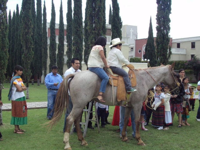 Paseo a caballo 